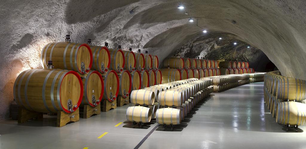 m Wine cellar Sipcanik 