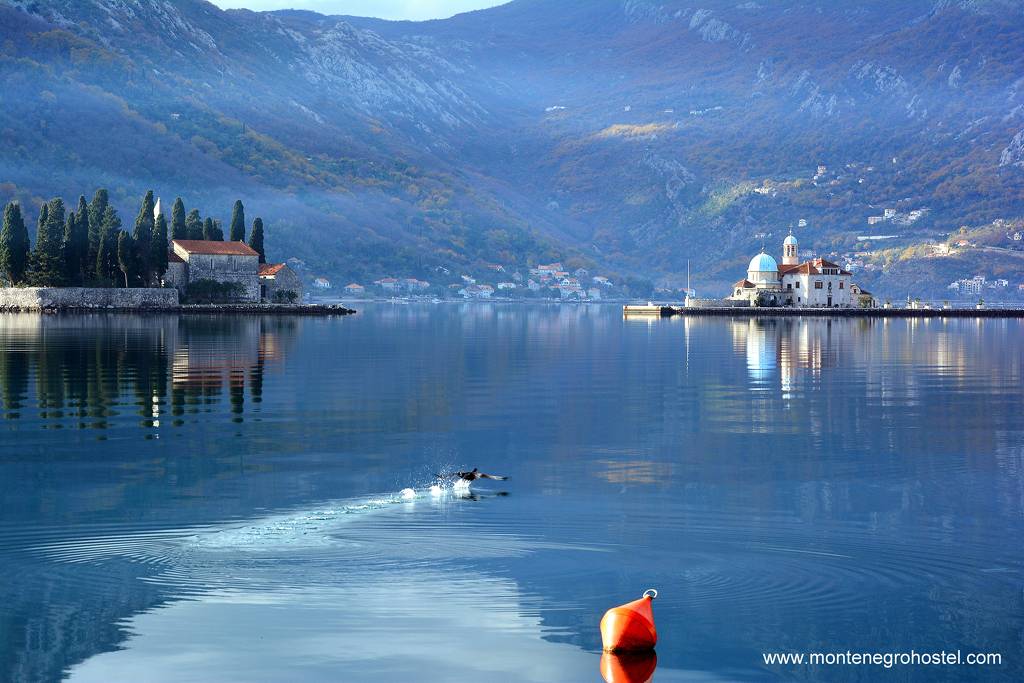 m Perast 08