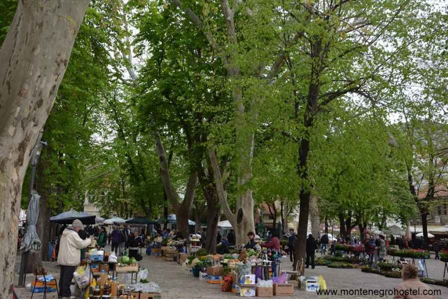 zelena pijaca Trebinje JPG