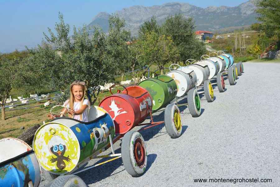 Mrizi and Zanave tractor cart