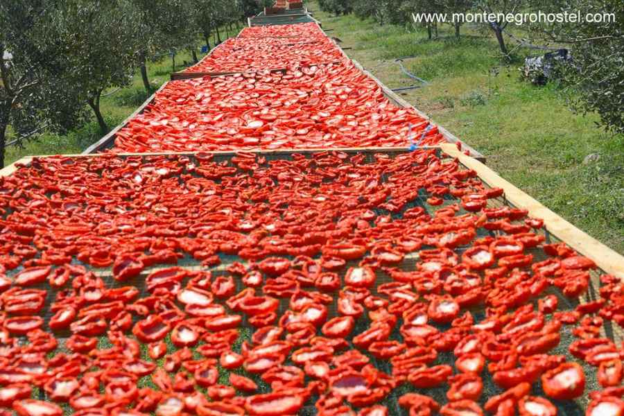 drying tomatoes