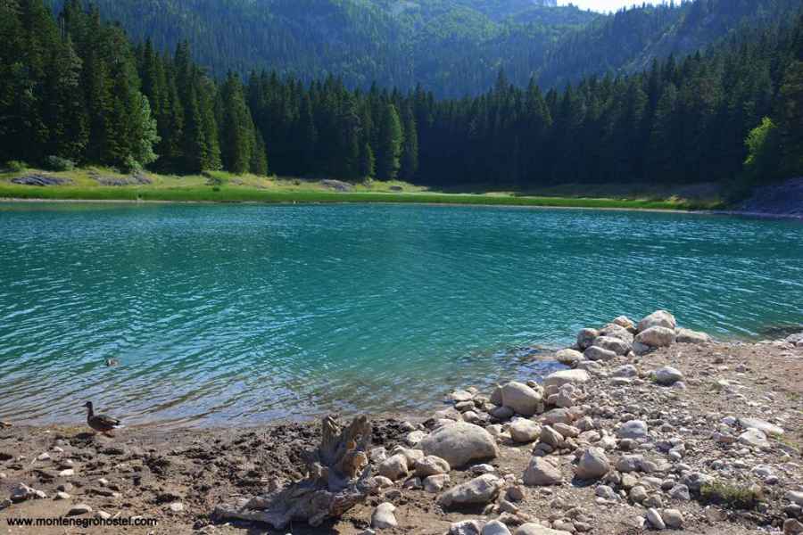 Durmitor-Black Lake