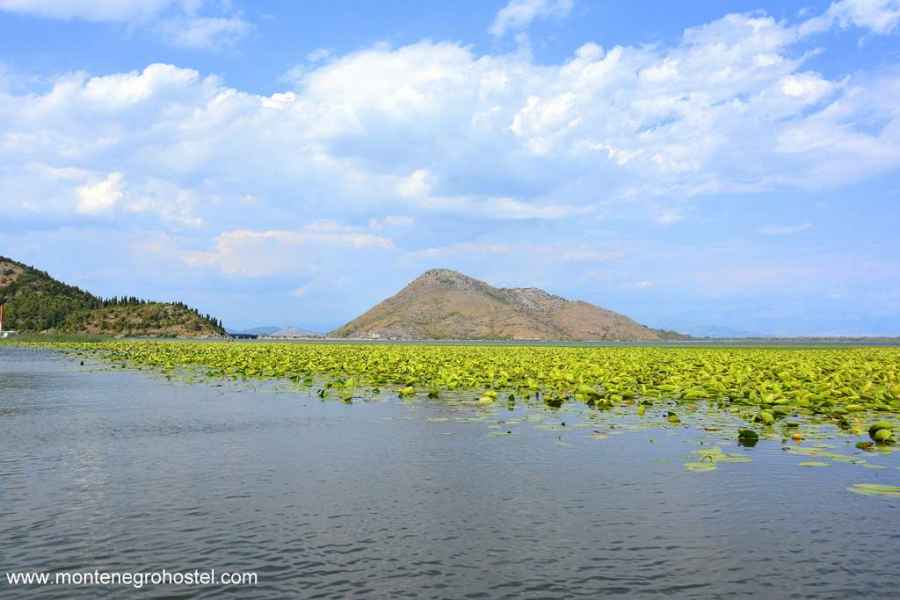 Vranjina Skadarsko Jezero