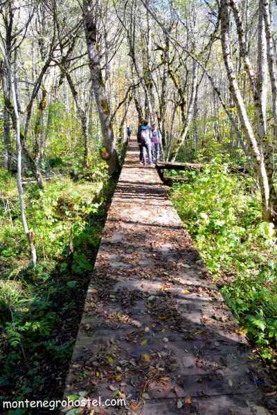 Tour Around the Biograd River