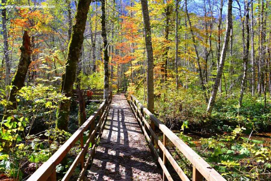Bird Observatory in Biograd River