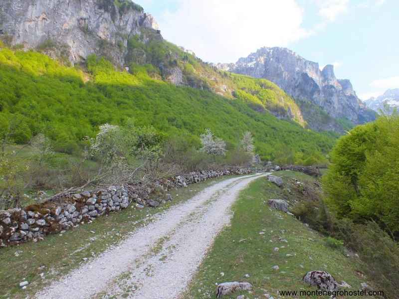 hiking trail in Ropojana Valley