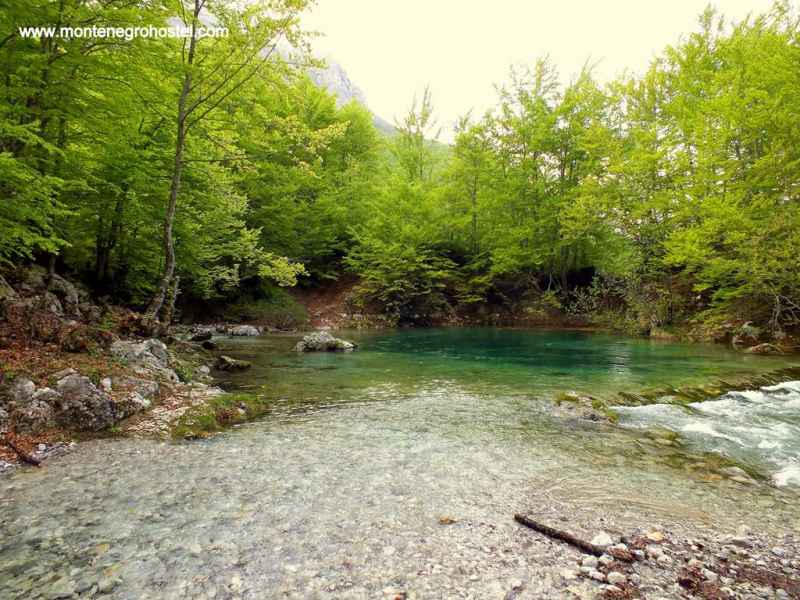 the spring of the river Skakvica
