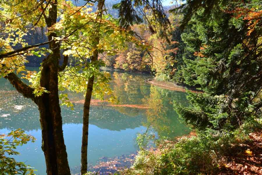 m Biogradska Gora National Park Tour JPG