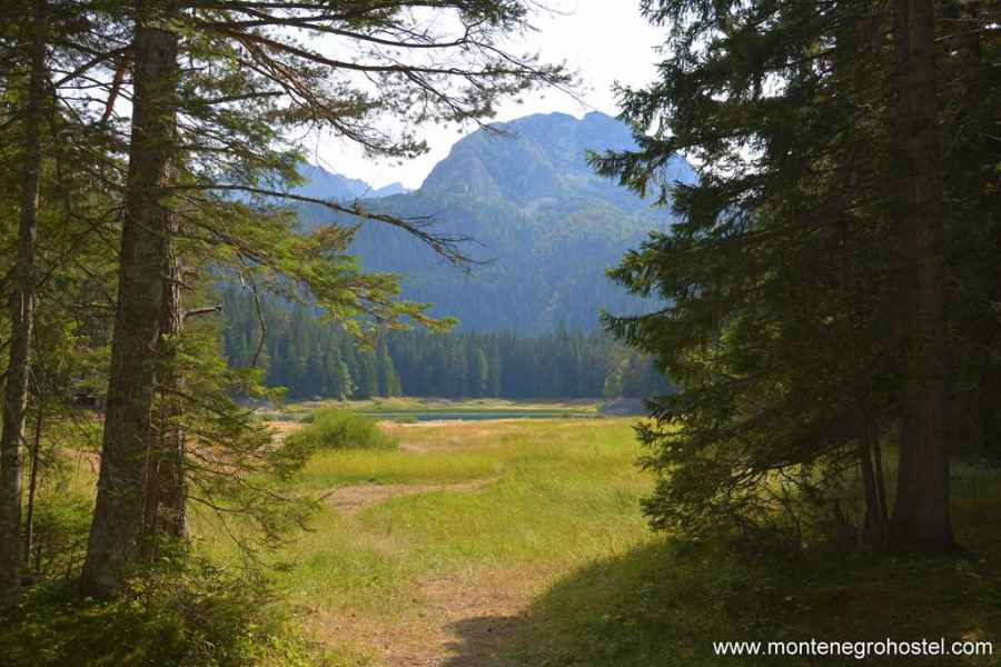 Black Lake in Durmitor