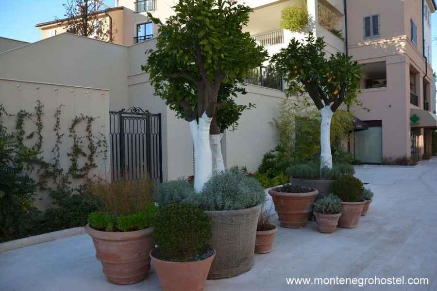 residential buildings in Porto Montenegro