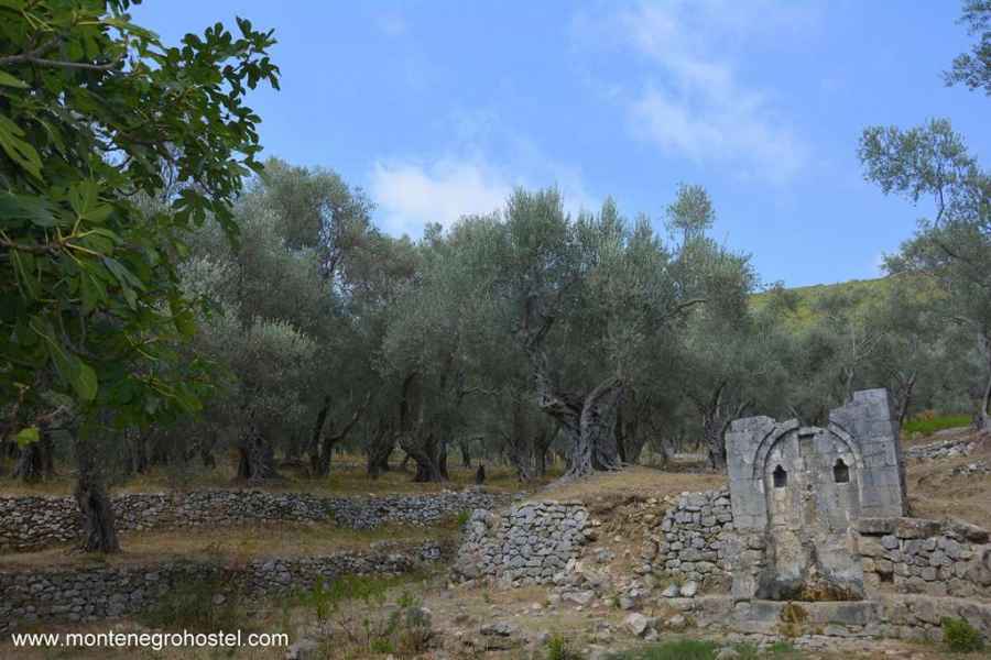 Roman fountain in Valdanos