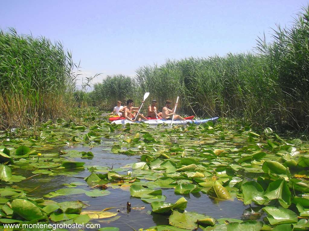 m Kayaking on Skadar Lake with MH Travel Agency
