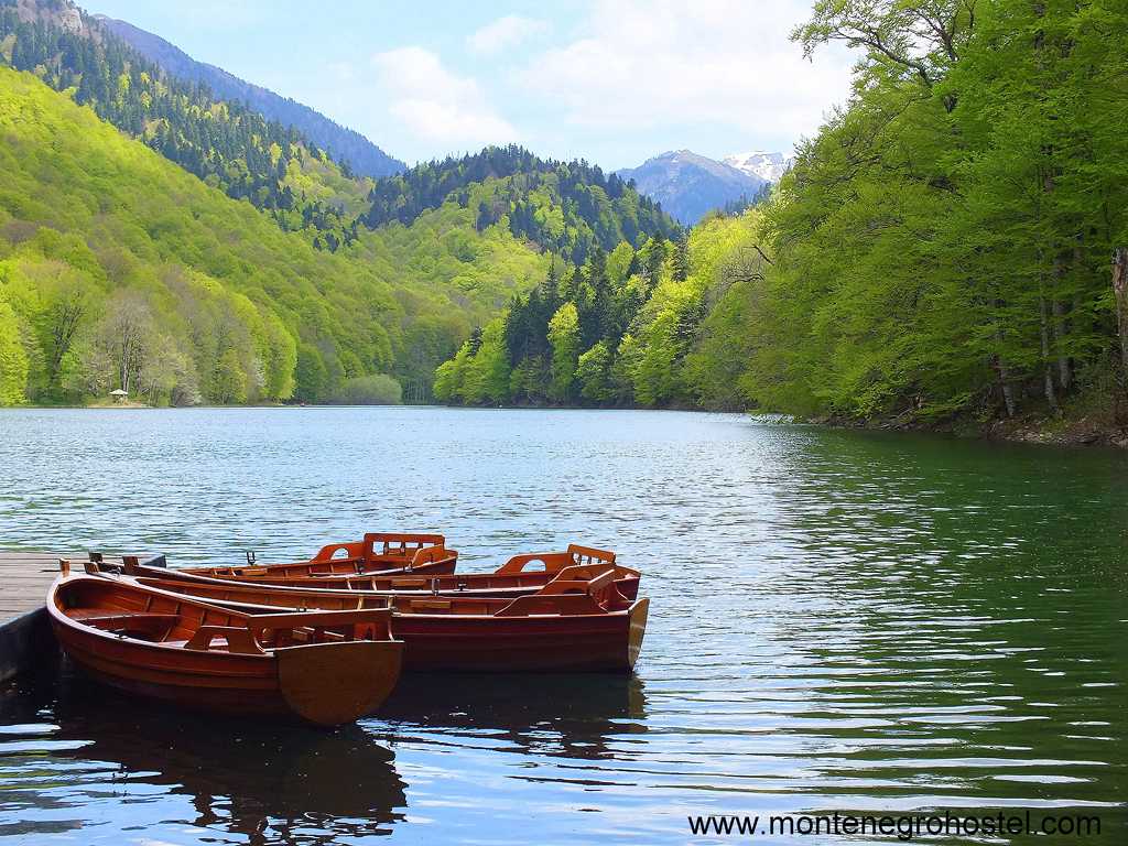 m Biogradska Gora