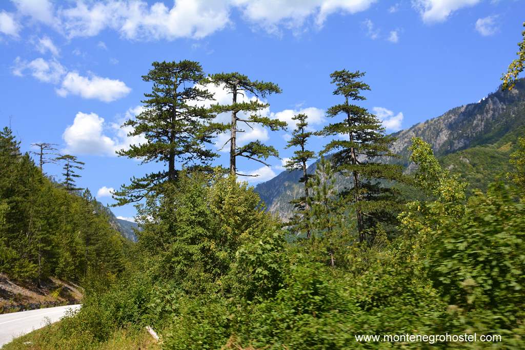 m Durmitor National Park 37